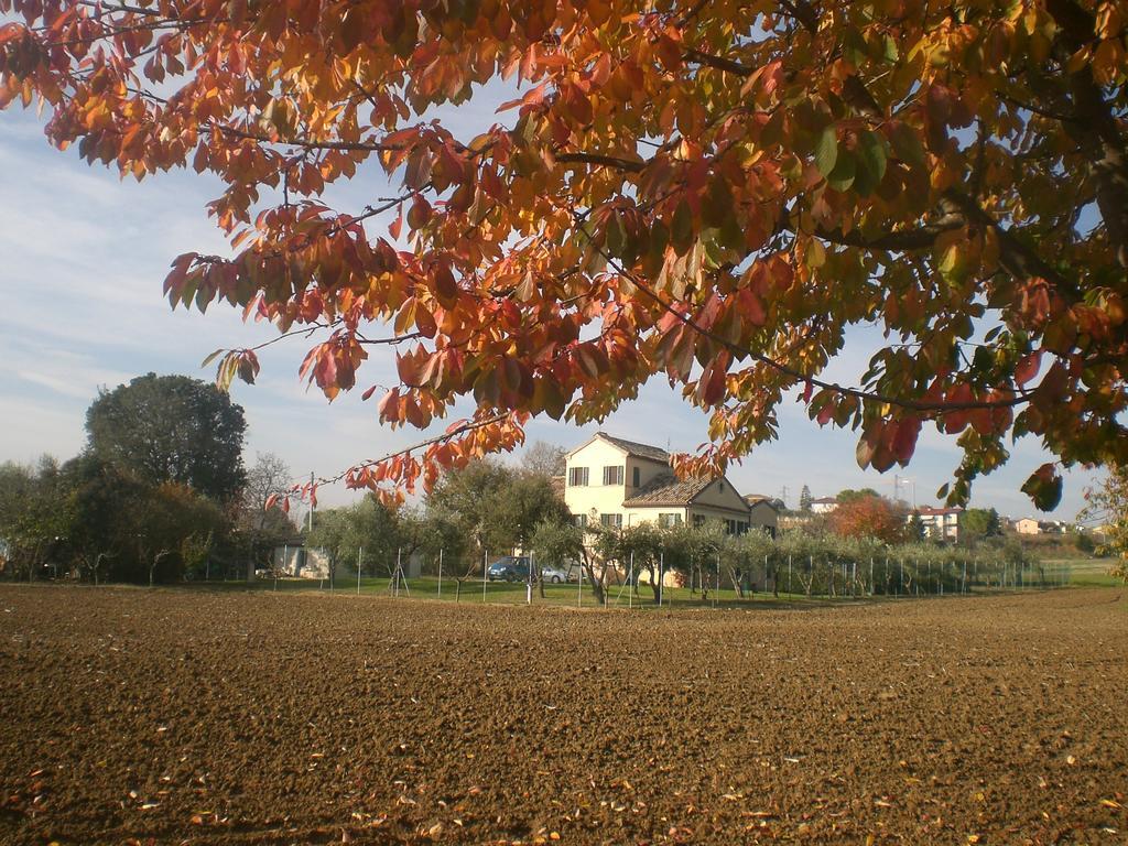 艾赛里歌住宿加早餐旅馆 奥西莫 外观 照片