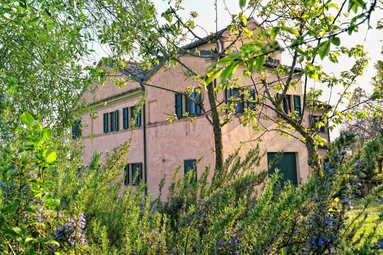 艾赛里歌住宿加早餐旅馆 奥西莫 外观 照片